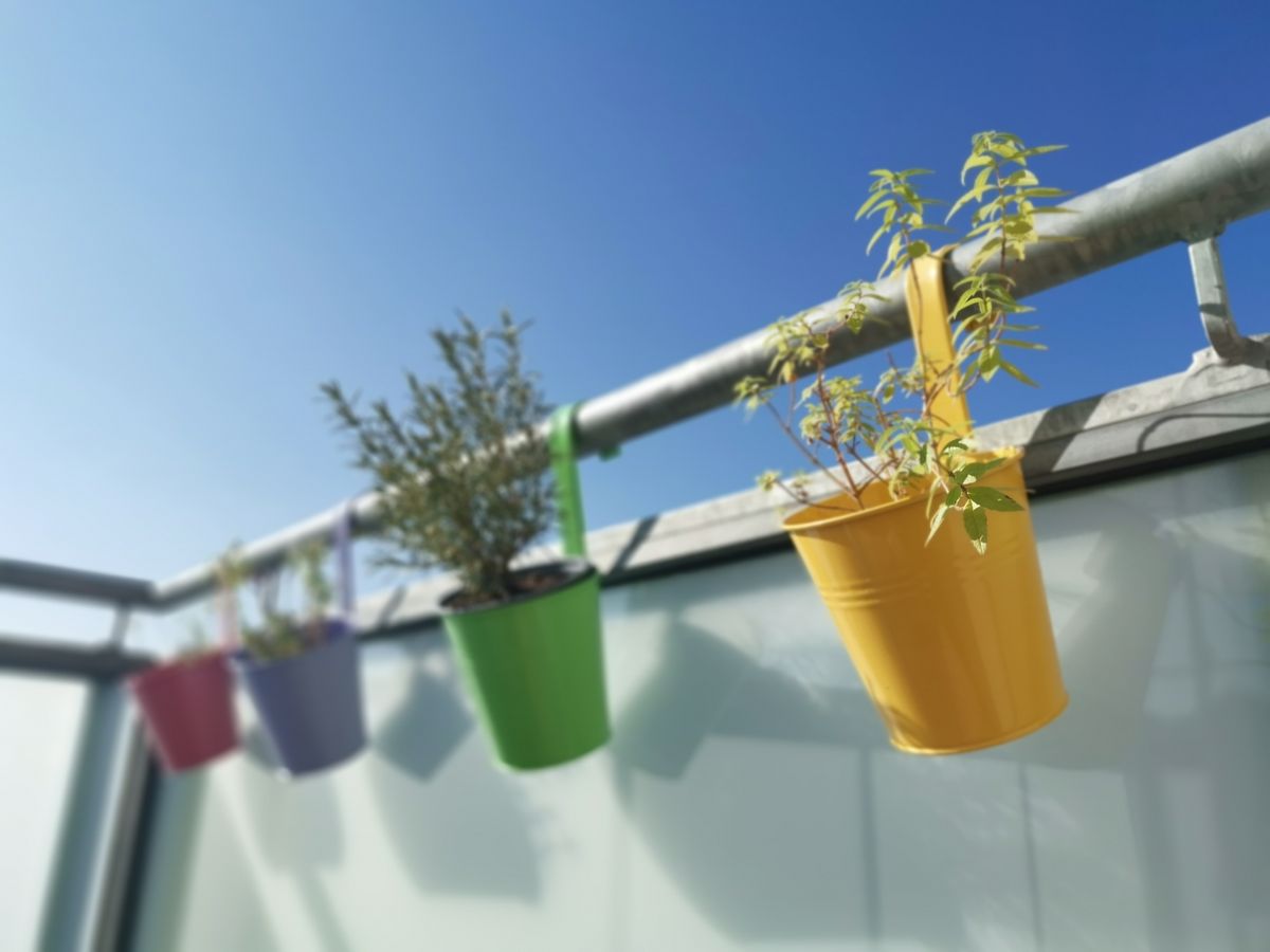 Verschieden farbige Blumentöpfe aus Blech mit Pflanzen hängen am Geländer eines Balkons vor der Kulisse des blauen Himmels